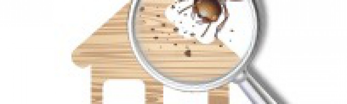 Why a building and pest inspection is a must for home buyers.